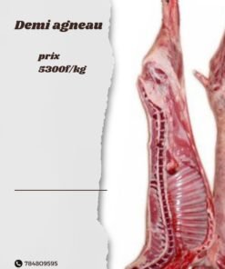 Agneau de Lait