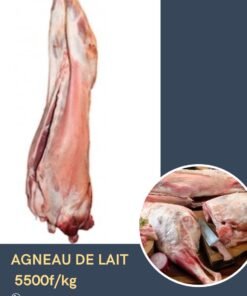 Agneau de Lait