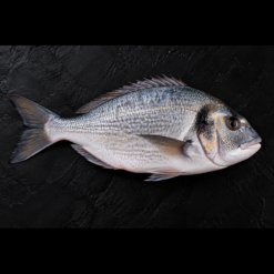 Poisson Dorade
