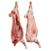 Demi-agneau